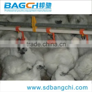 Automatic Nipple Drinking System for Poultry House thumbnail-1