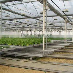 Greenhouse Accessories Seedbed thumbnail-1