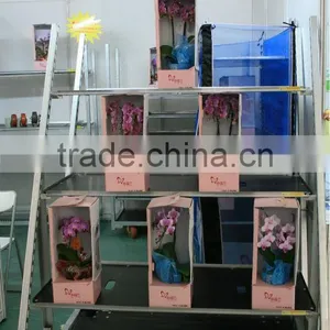 A9 Display Danish Flower Trolley Cart With Toe Bar thumbnail-1