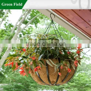Hanging Basket thumbnail-4