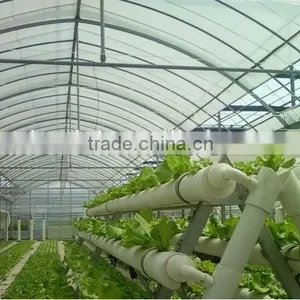 Agriculture PE Film Vegetable Greenhouse thumbnail-1