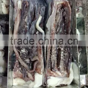 Frozen Raw Giant Squid Tentacle thumbnail-2