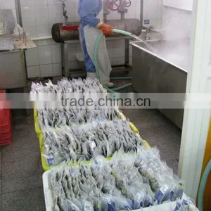Good Quality Short Necked Clams thumbnail-3