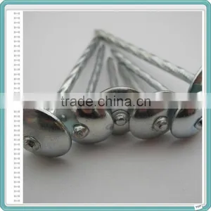50 Jute Bag Roofing Nails thumbnail-4