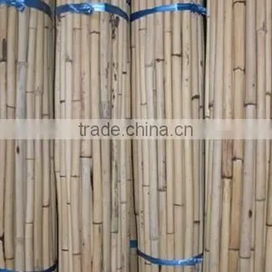 White Malacca, Mantang, Malacca, White Cane, Rattan, Cane, Rattan Cane, Rattan Pole, Pole, Cane Pole thumbnail-4