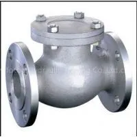 Check Valves thumbnail-1