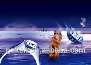 3D Stereo Photographic System for Lenticular Pictures thumbnail-4