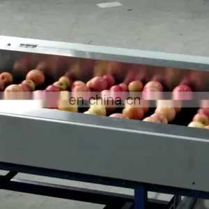 Convenient Durable Cherry Fruit Sorting Machine Cherry Fruit Grader With Best Price thumbnail-1