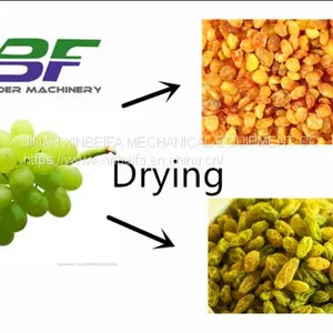 Hot Air Energy Type Grapes Fruit and Vegetable Dryer Machine thumbnail-2