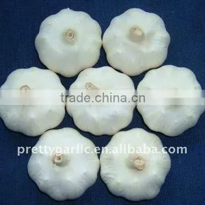 White Garlic From Yafod! thumbnail-1