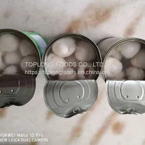 Canned Lychee thumbnail-4