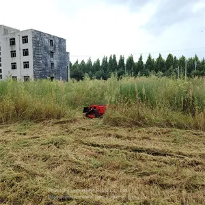 Track Mower, China Remote Mower for Sale Price, R/c Lawn Mower for Sale thumbnail-1