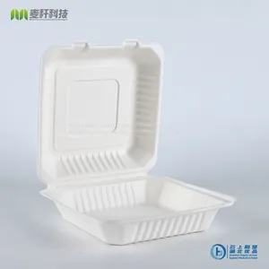 PFAS FREE Disposable Biodegradable 9*9 Take Away Sugarcane Bagasse Clamshell Container thumbnail-5