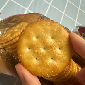 Quality Evenly Baked Crispy Salty Biscuits Cookies for Wholesalers and Supermarkets thumbnail-4
