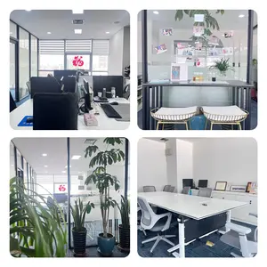 Langfang Baird Trading Co., Ltd. company overview - view 1 thumbnail