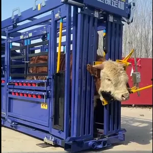 2025 New Mold Steel Tube Panel Cattle Squeeze Chute Crush Headlock thumbnail-6