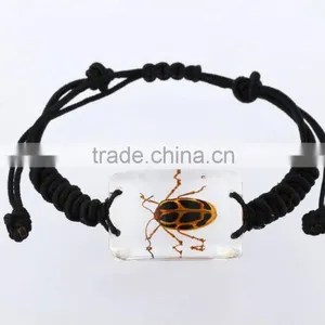 Latest Hippie Bracelet Beads as Promotion Gifts With Real Insect thumbnail-6