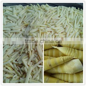 All Types of Frozen Food Iqf Bamboo Shoot Strips thumbnail-1