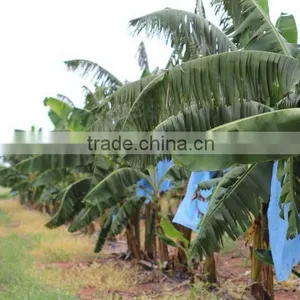 Banana Sleeve Bag With Standard Size thumbnail-2