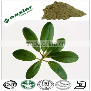 Direct Manufacturer Supply Natural 25% Ursolic Acid thumbnail-1