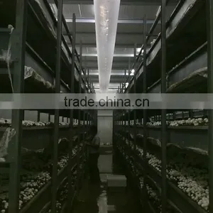 Mushroom Cultivating Net/NET BELT/CULTIVAION CLOTH thumbnail-5