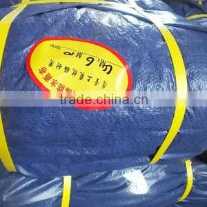 Best Insulation Material Tarp PP Grommets Blue/sliver Colour Waterproof Anti-aging Antioxidant Outdoor Cover Factory Directly thumbnail-6