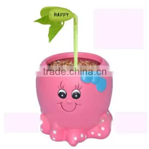 Lovely Egg Potted Message Bean thumbnail-1