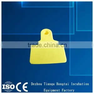 Yellow Ear Tag thumbnail-2