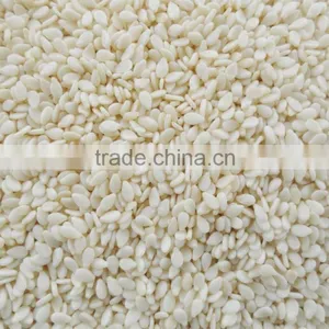 White Sesame thumbnail-1