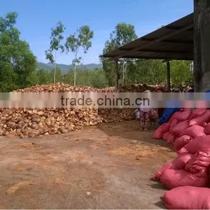Loose Cocopeat_QQ:2598494113 thumbnail-5