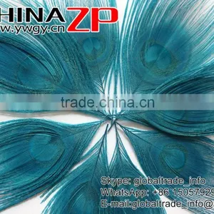 CHINAZP Wholeasale Top Selling Special Colors Dyed Turquoise Trimmed Short Peacock Feathers for Girls thumbnail-3