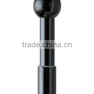 Black Rod thumbnail-1