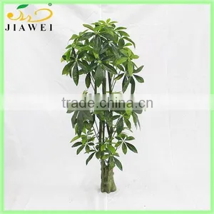 China Hotsale Fake Money Tree Artificial Pachira thumbnail-1