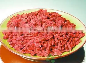 A Grade Goji thumbnail-2