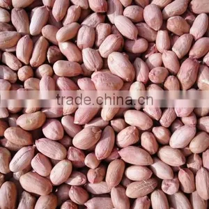 2014 Peanut Kernels, Large Size Peanut Kernels Luhua Type 24/28, 28/32, 34/38, 38/42, 45/55 thumbnail-1
