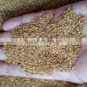 Goji Berry Seeds for Planting thumbnail-1