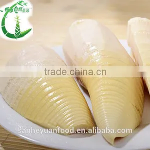 Canned Winter Bamboo Shoots thumbnail-1