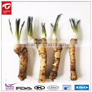 Fresh Horseradish Seasoning Chips thumbnail-1