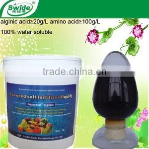 Seaweed Liquid Fertilizer thumbnail-1