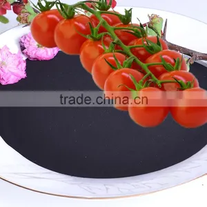 Multifunctional Natural Organic Humic Acid Fertilizer thumbnail-5