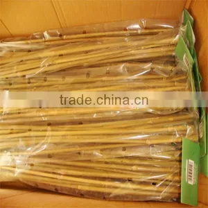 Bulk Bamboo Poles thumbnail-1