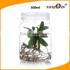 350ml/500ml Empty Pet Plastic Tissue Culture Bottle thumbnail-1