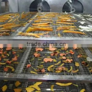Similar Natural Method Hot Wind Tomato Drying Machine / Tomato Dehydrator Machine / Tomato Dehydration Machine thumbnail-4