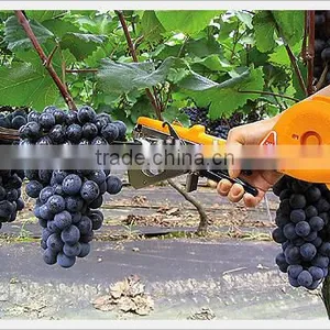 Hand Tying Machine/tapetool Made in China. thumbnail-2