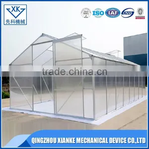 Multispan Tunnel Greenhouse for Strawberry Grape, Raspberry , Agricultural Green Houses thumbnail-2