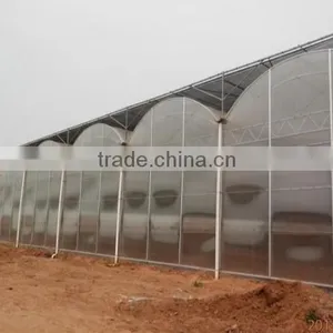 Cheap 30 x 100 Greenhouse thumbnail-2