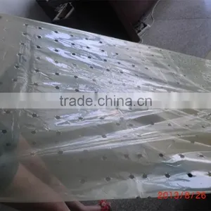 Popular!PE Garden Used Plastic Perforated Film for Tomato Plant thumbnail-1