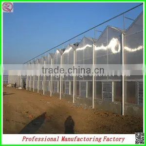 Commercial Steel Frame Venlo Polycarbonate Greenhouses With Irrigation System thumbnail-3