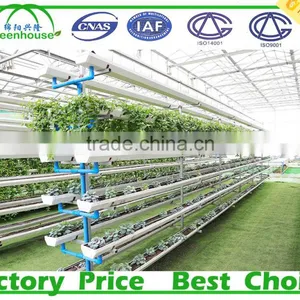 Multi Span Tunnel PE Plastic Film Hydroponic Systems Agricultural Commercial Greenhouse thumbnail-4