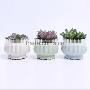 New Design Succulent Plants Ceramic Indoor Planters thumbnail-1